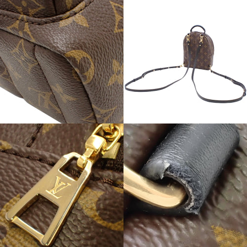 Monogram Palm Springs Mini Backpack in Monogram Canvas, model M44873 (current as of May 2024)