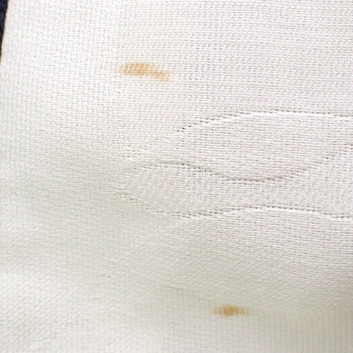 Camellia 束口夹克 38 P63 夹克