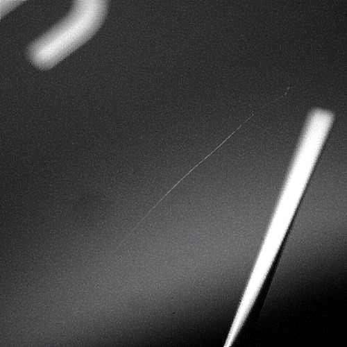 BB41SXTRO 宝格丽宝格丽罗马Finissimo精钢/皮革手动腕表 黑色 透明表背