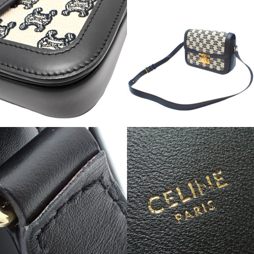 Classic Triomphe Bag in Leather and Embroidered Canvas