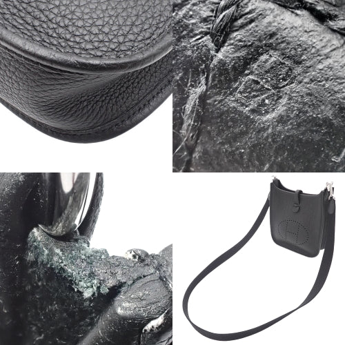 Evelyn Amazon TPM Evelyn Taurillon Clemence leather with palladium hardware and B stamp