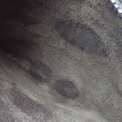 ラゲージ マイクロショッパー ドラムドカーフスキン 189793DRU.38NO