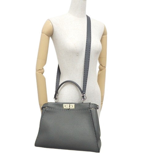 Selleria Peekaboo Regular Calfskin 8BN290 Q0J F0N9A