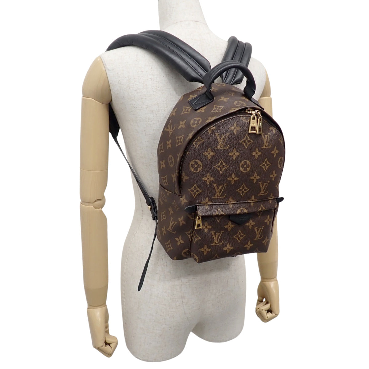 Monogram Palm Springs Backpack PM, Monogram Canvas, Brown, M41560