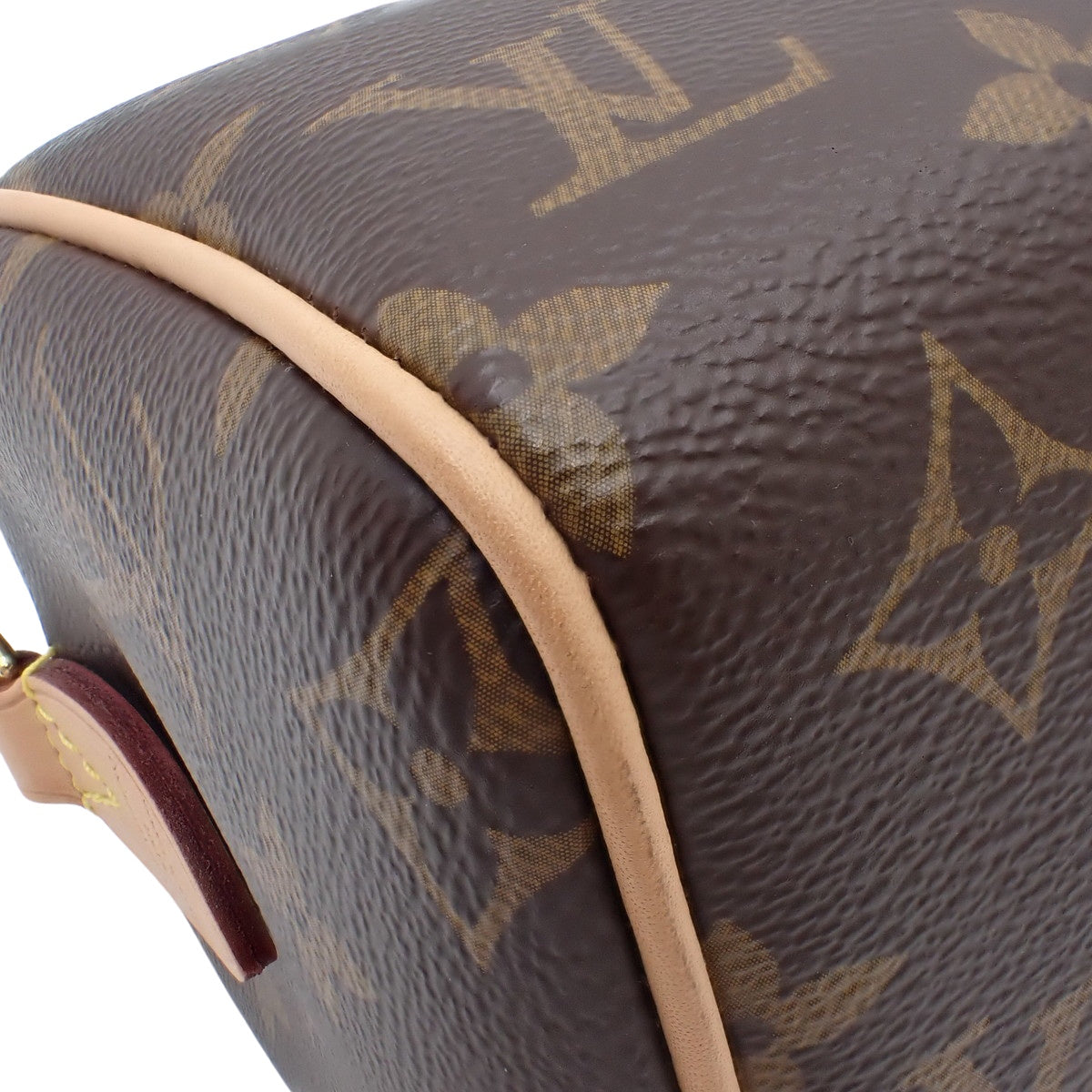 Monogram Speedy Bandouliere 20 M46222