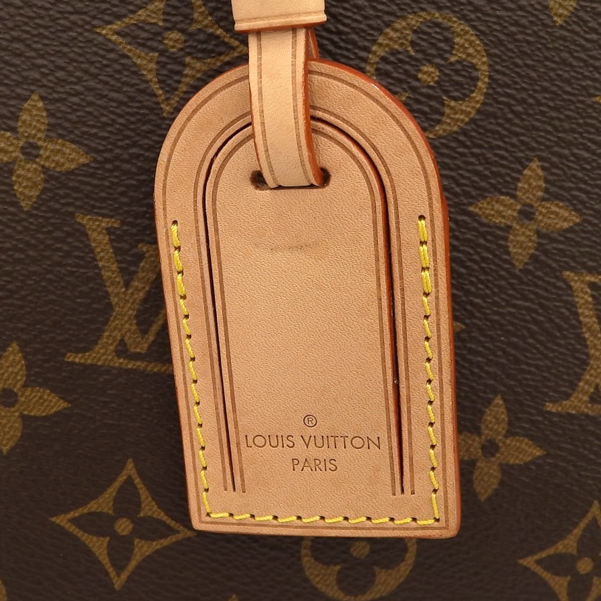 Monogram Petit Palais PM Monogram 帆布棕色 M45900