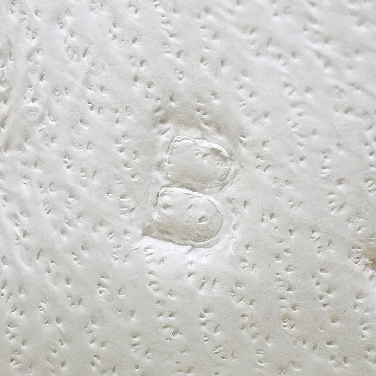 Rodeo Charm PM Anjo Milo 青柠/粘土/芝麻 B 印章