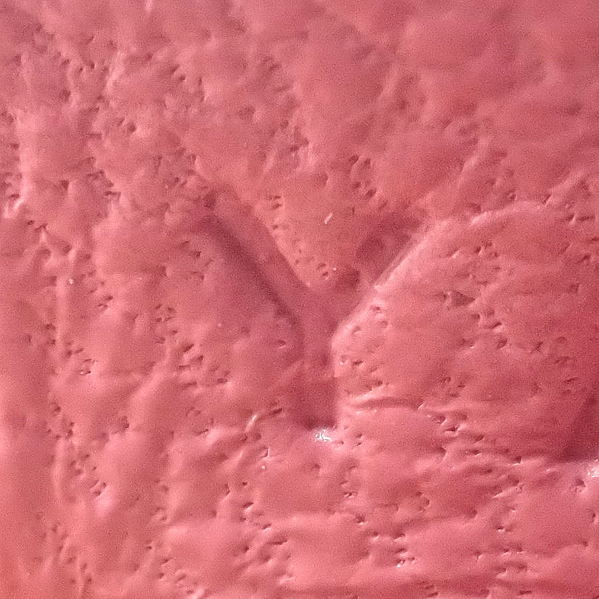 Rodeo Charm PM Anjo Milo Rose Azalea Y Stamp