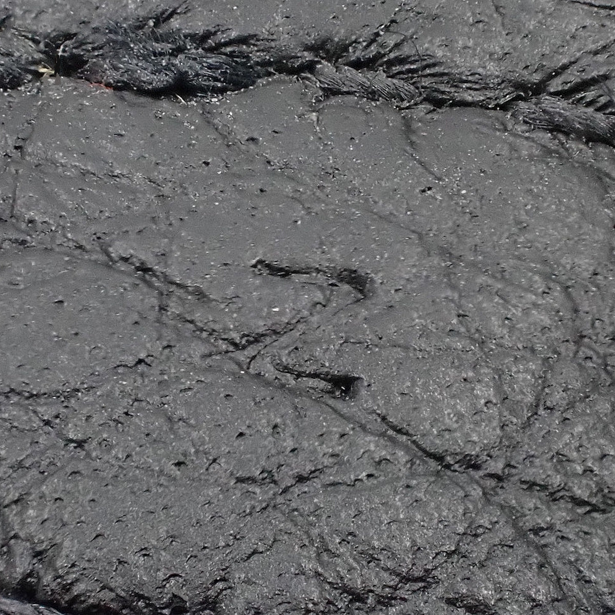 ピコタンロックMM トリヨンクレマンス ブラック ゴールド金具 Z刻印