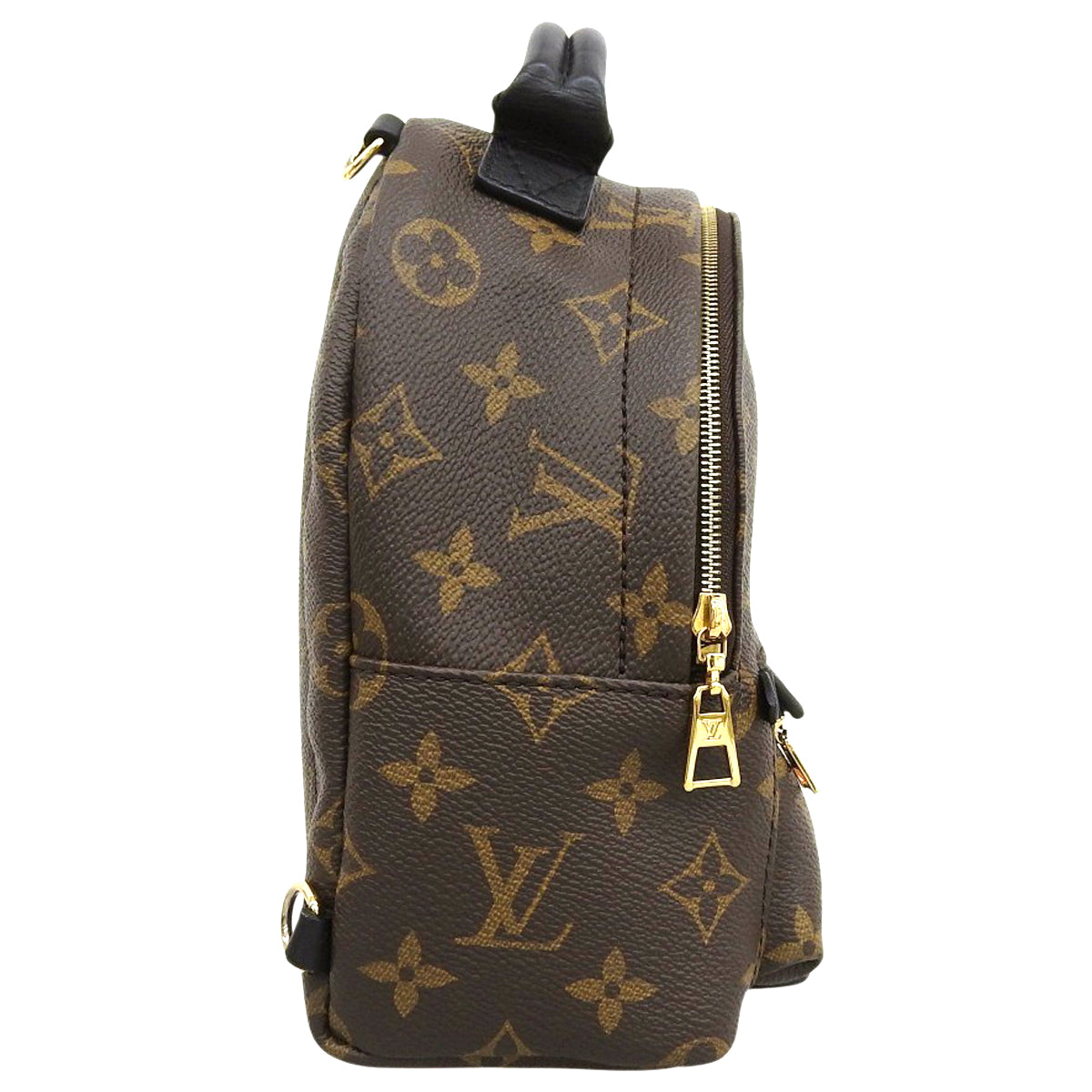 Monogram Palm Springs Backpack Mini, Monogram Canvas, Brown, M44873