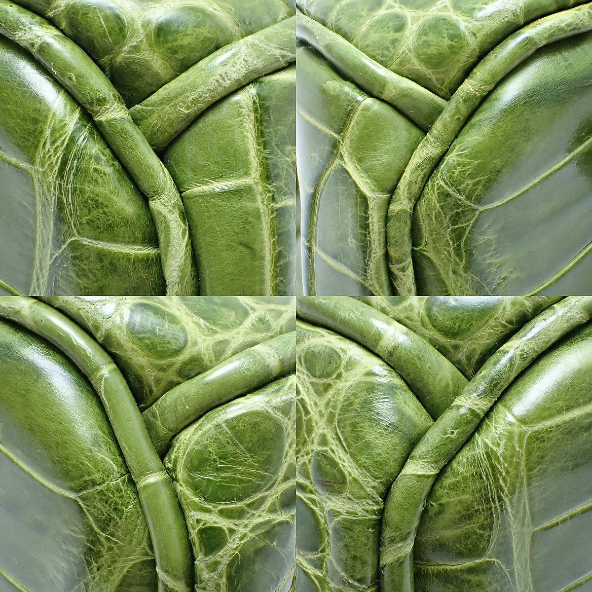 Birkin 30 Polosus鳄鱼皮,茴香绿,银色五金,Q印记