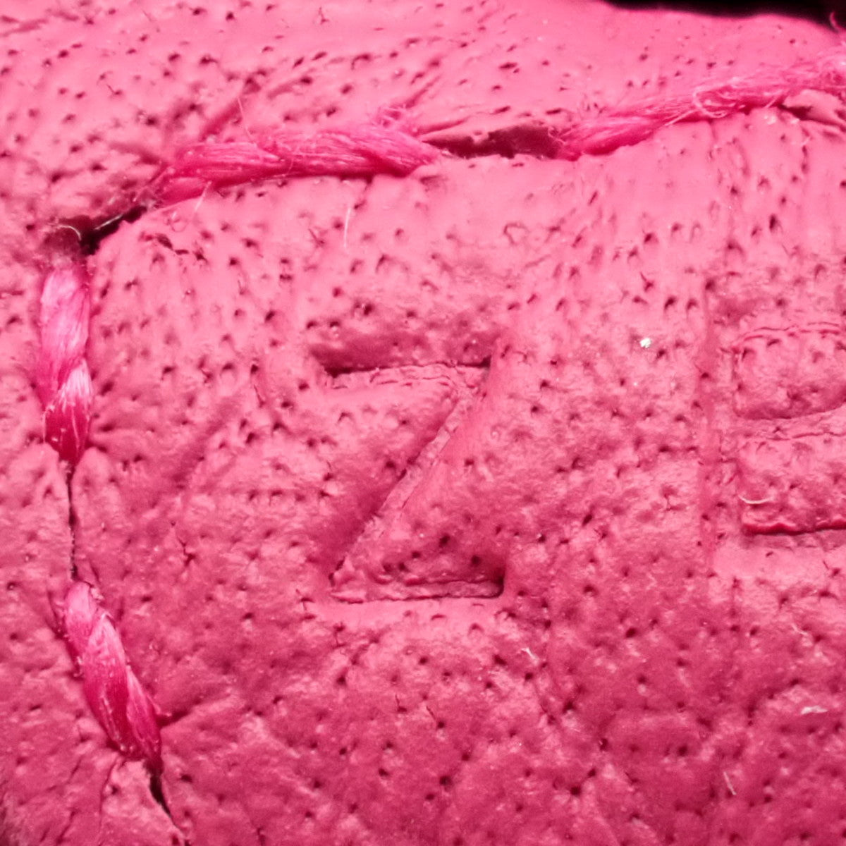 Evelyn Amazon TPM Taurillon Clemence Raspberry 配银色硬件和 Z 印章