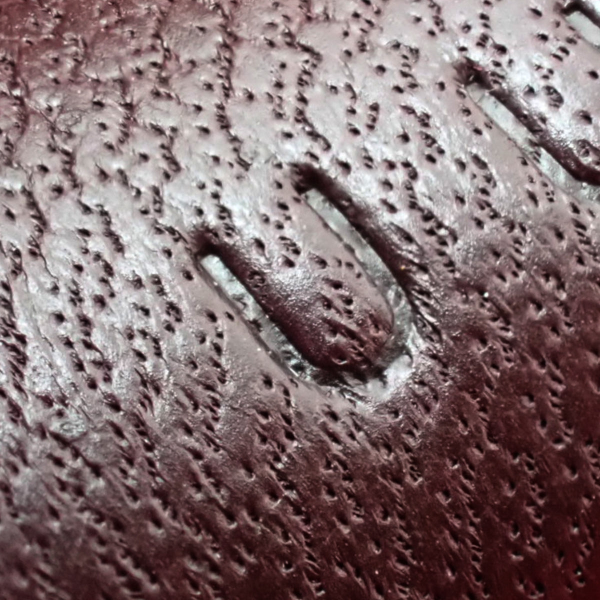 Rodeo Charm PM Anjou Milo Framboise Rose Sakura Rouge Serie U Stamp