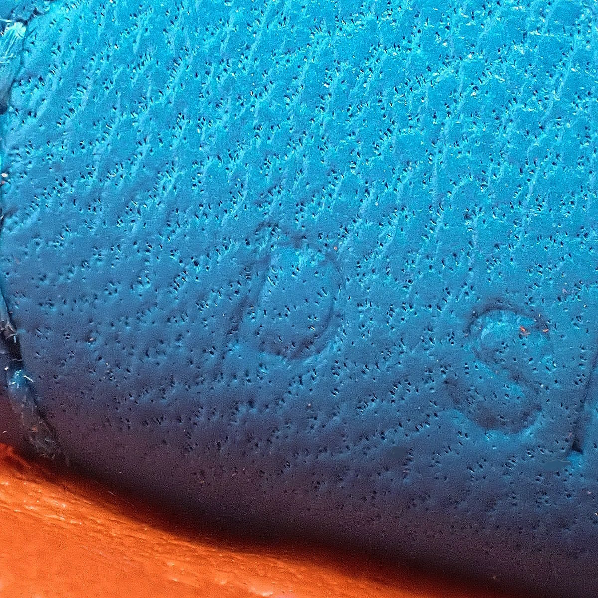 Rodeo Charm PM Anjo Milo Orange Rose Azalea Blue Zanzibar D Stamp