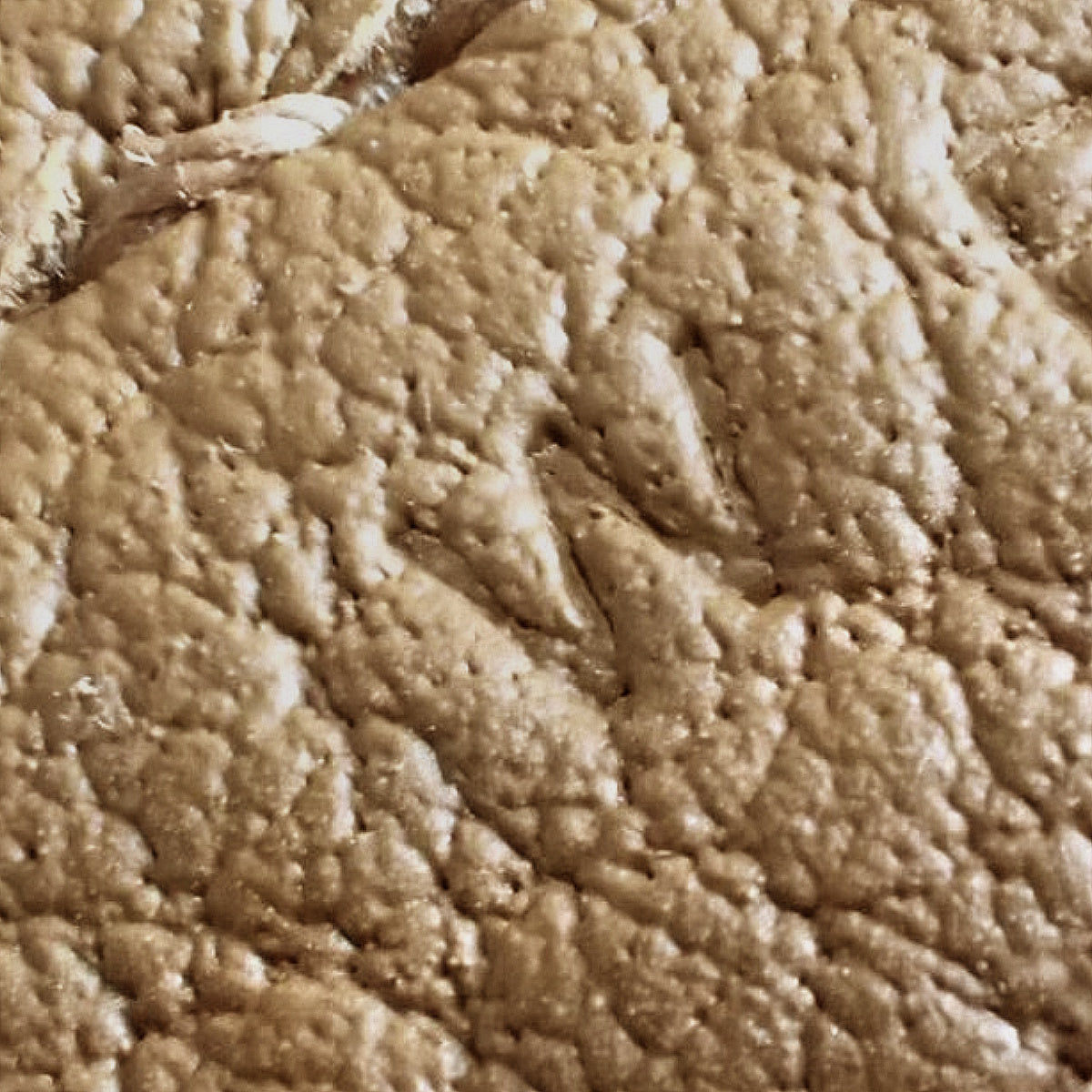 Garden Party 49 Voyage Toile H Negonda Beige Brown Silver Hardware W Stamp