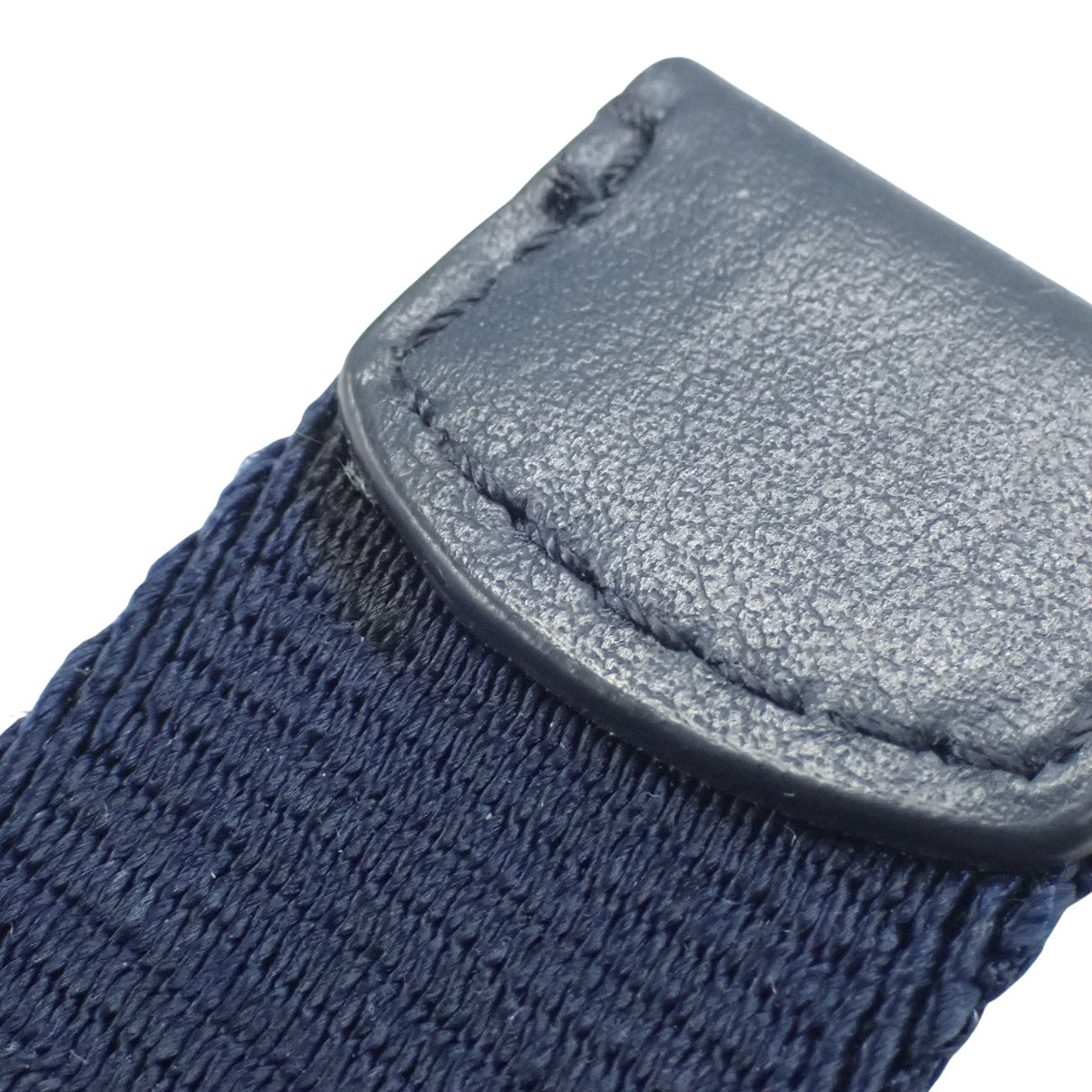 World Tour Oblique Saddle Belt Bag in Leather, Blue and Navy