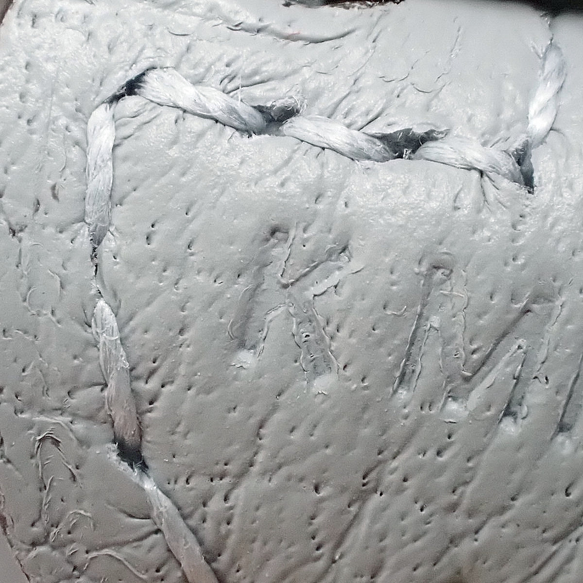 【未使用】エブリンアマゾンTPM トリヨンクレマンス グリパンタン シルバー金具 K刻印