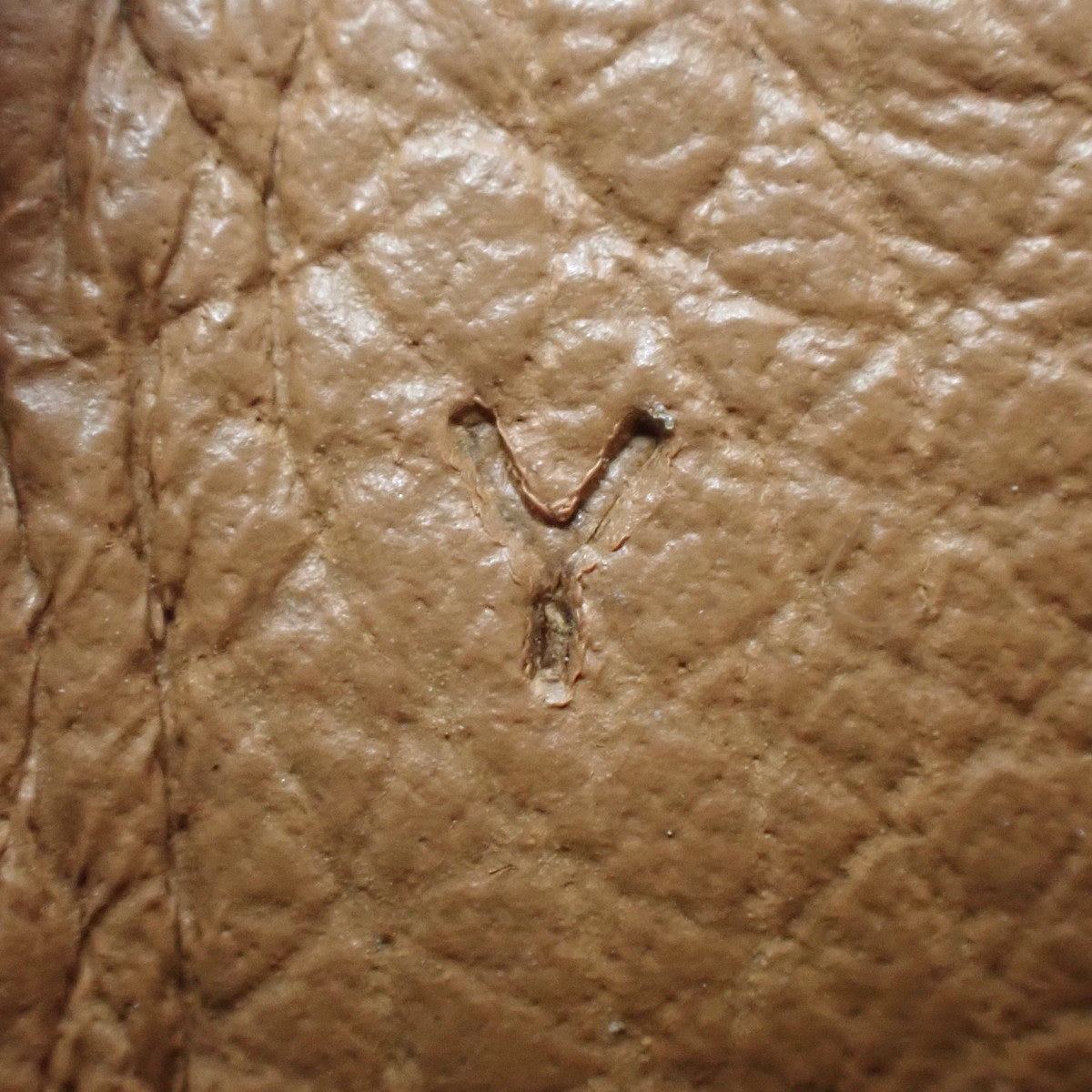 アルザン25 エバーカラー ゴールド Y刻印