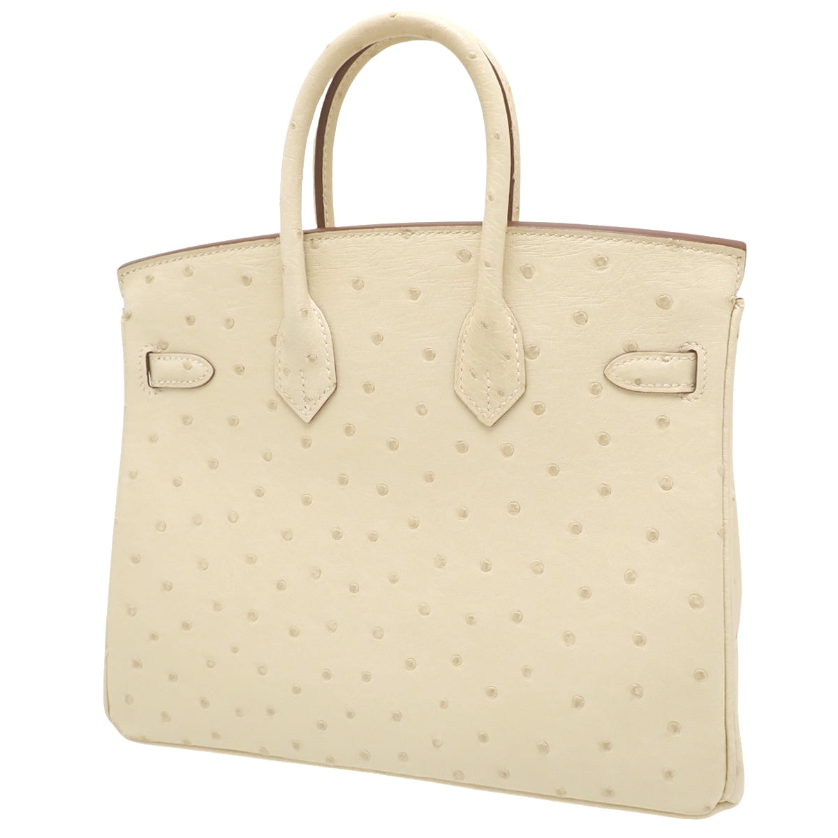 バーキン25 オーストリッチ ナタ ゴールド金具 U刻印