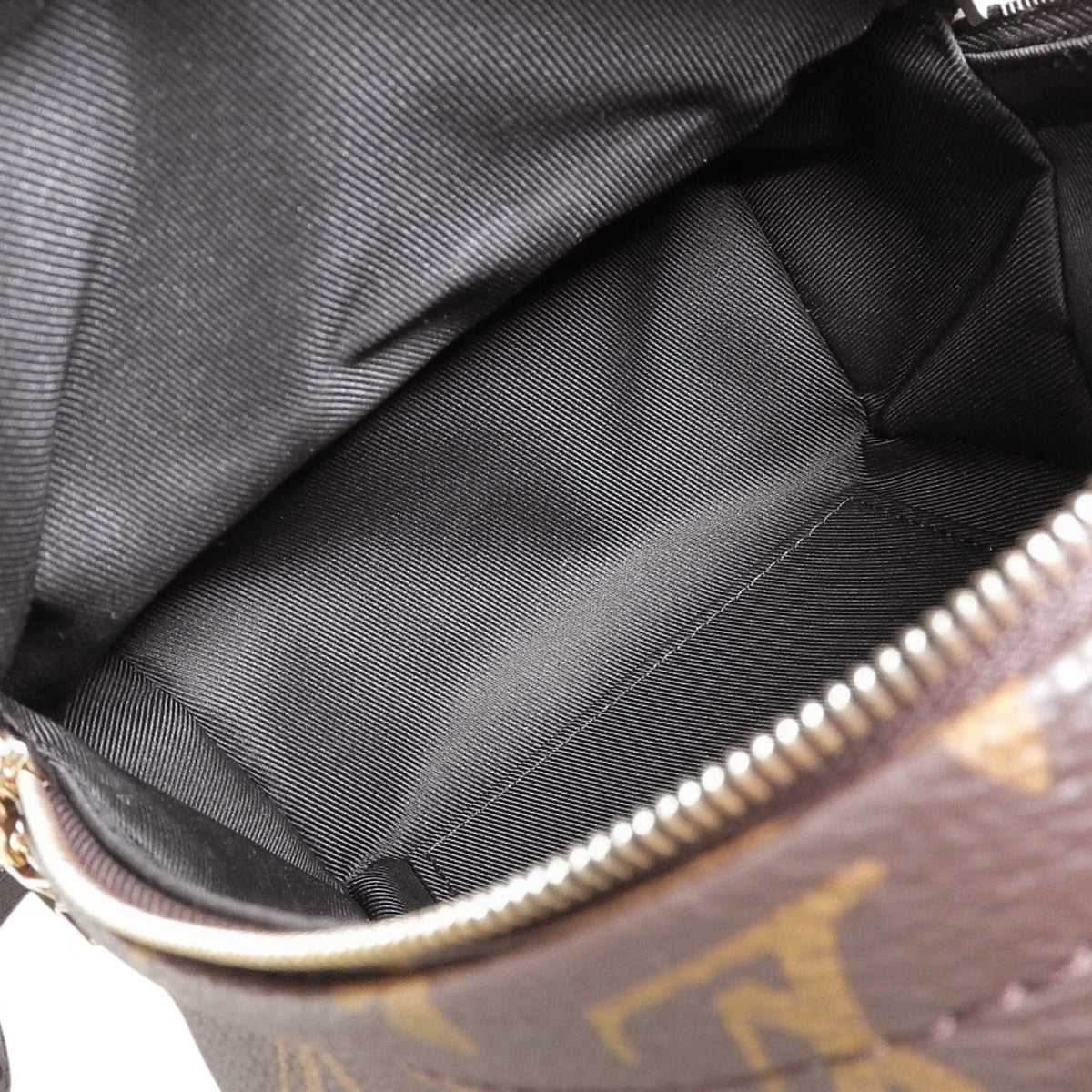 Monogram Palm Springs Backpack Mini, Monogram Canvas, Brown, M44873