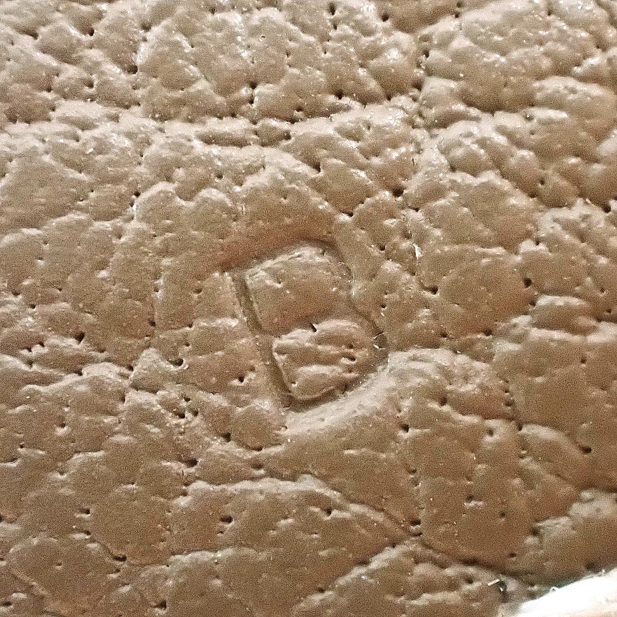 ガーデンパーティヴェルソTPM トワルオフィシエ ネゴンダ エトープ/エトゥープ デューン シルバー金具 B刻印