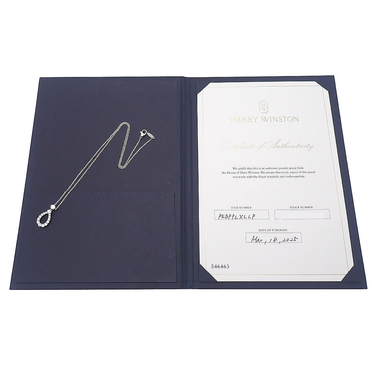 ループ・ペンダント エクストララージ ダイヤモンド プラチナ Pt950 5.5g