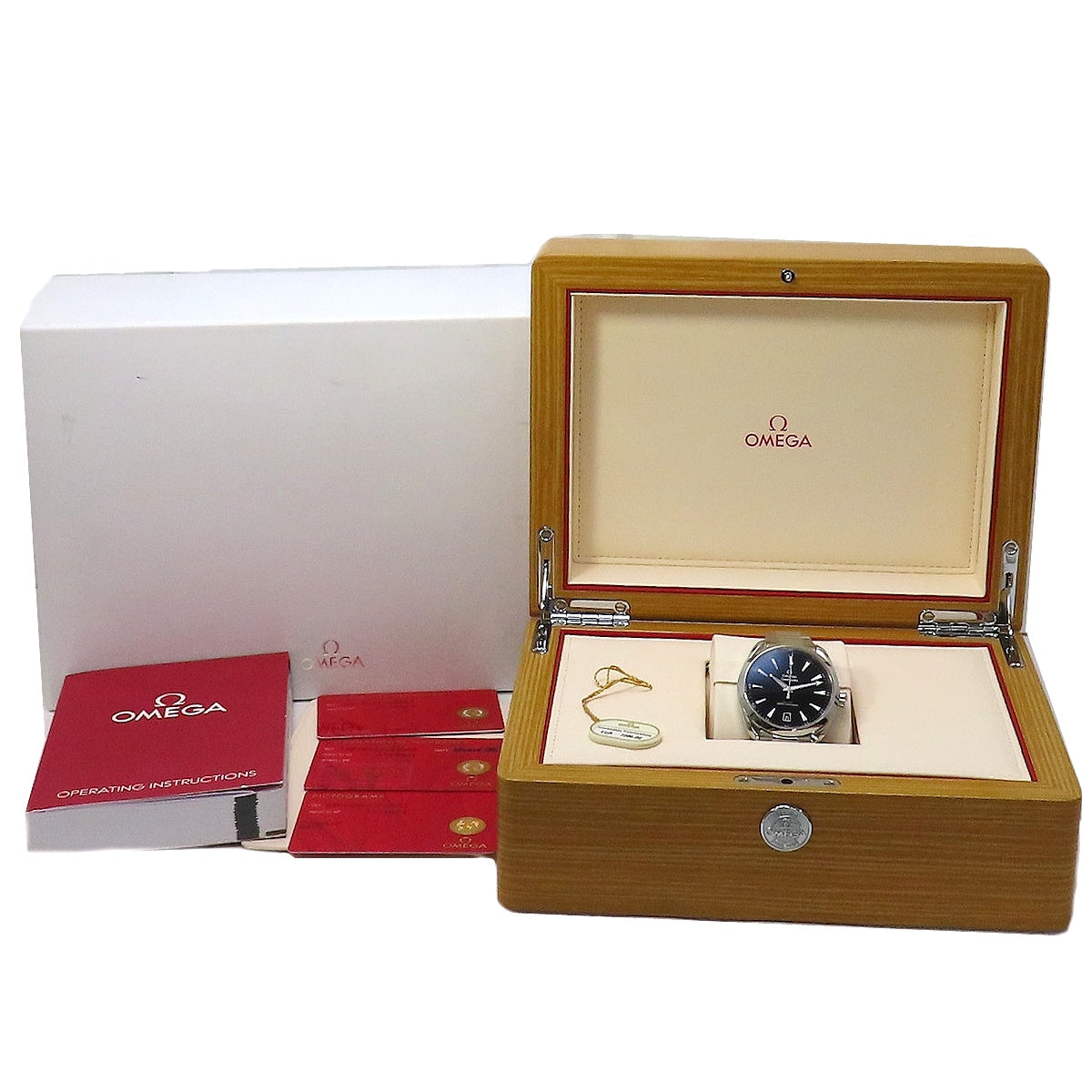 Seamaster Aqua Terra 150M 220.10.41.21.01.002 SS Black Automatic Men's