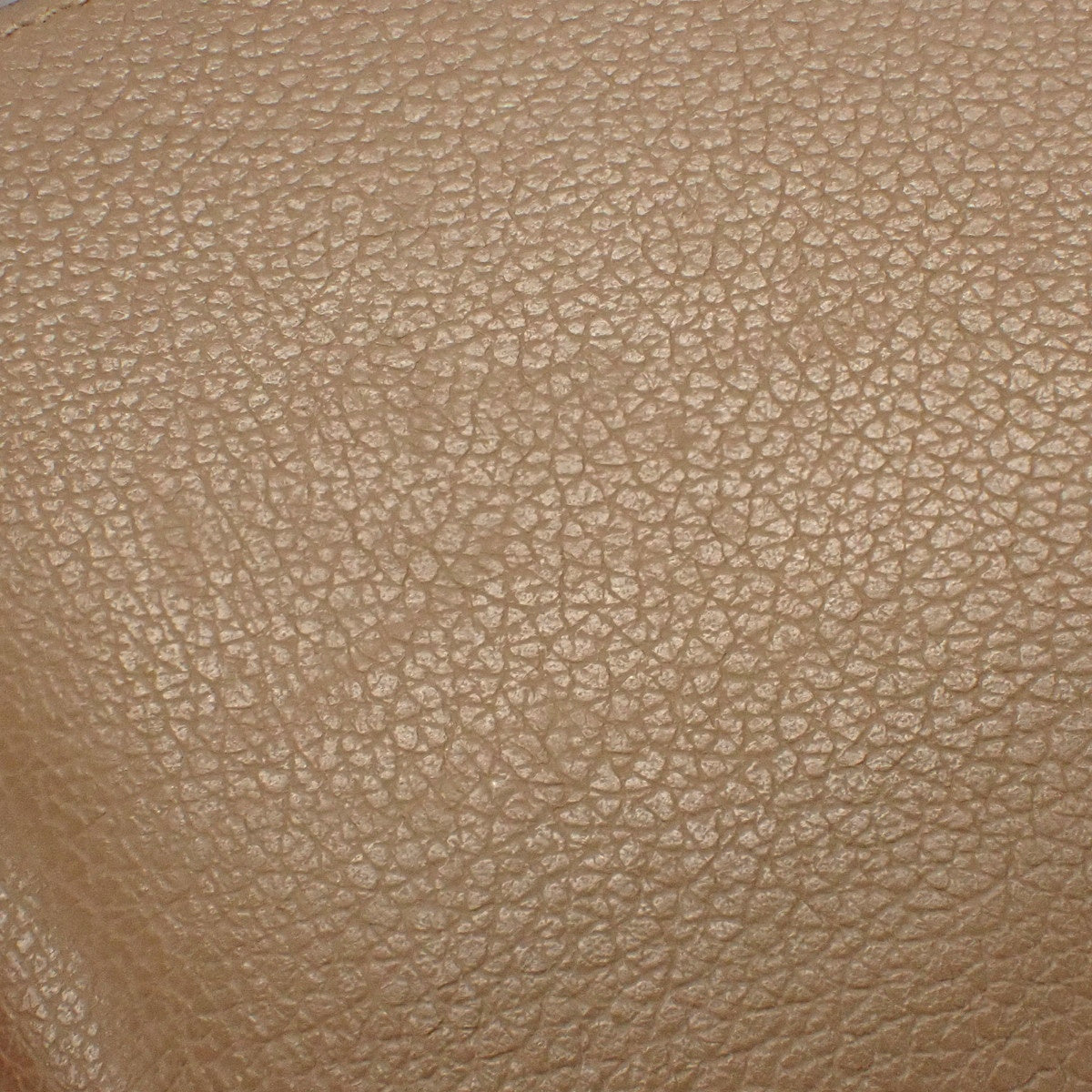 MC2 Copernic Evercolor Taupe U stamp
