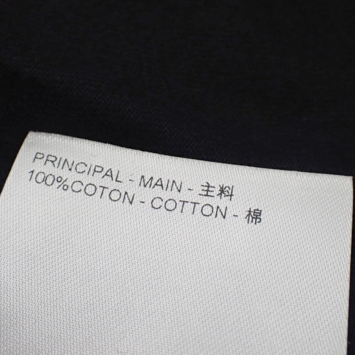 グラフィックエンベリッシュド Tシャツ 2024年 5L RM242M コットン