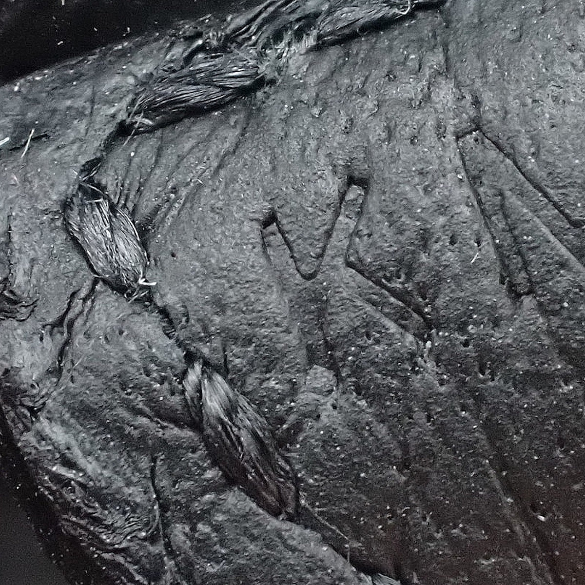 Evelyn Amazon TPM K Stamp Taurillon Clemence 皮革,黑色、灰色、金色五金件