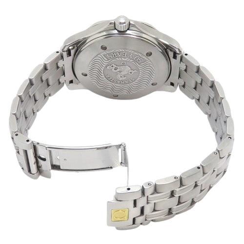 2534.50 Seamaster 300 GMT SS Automatic Black