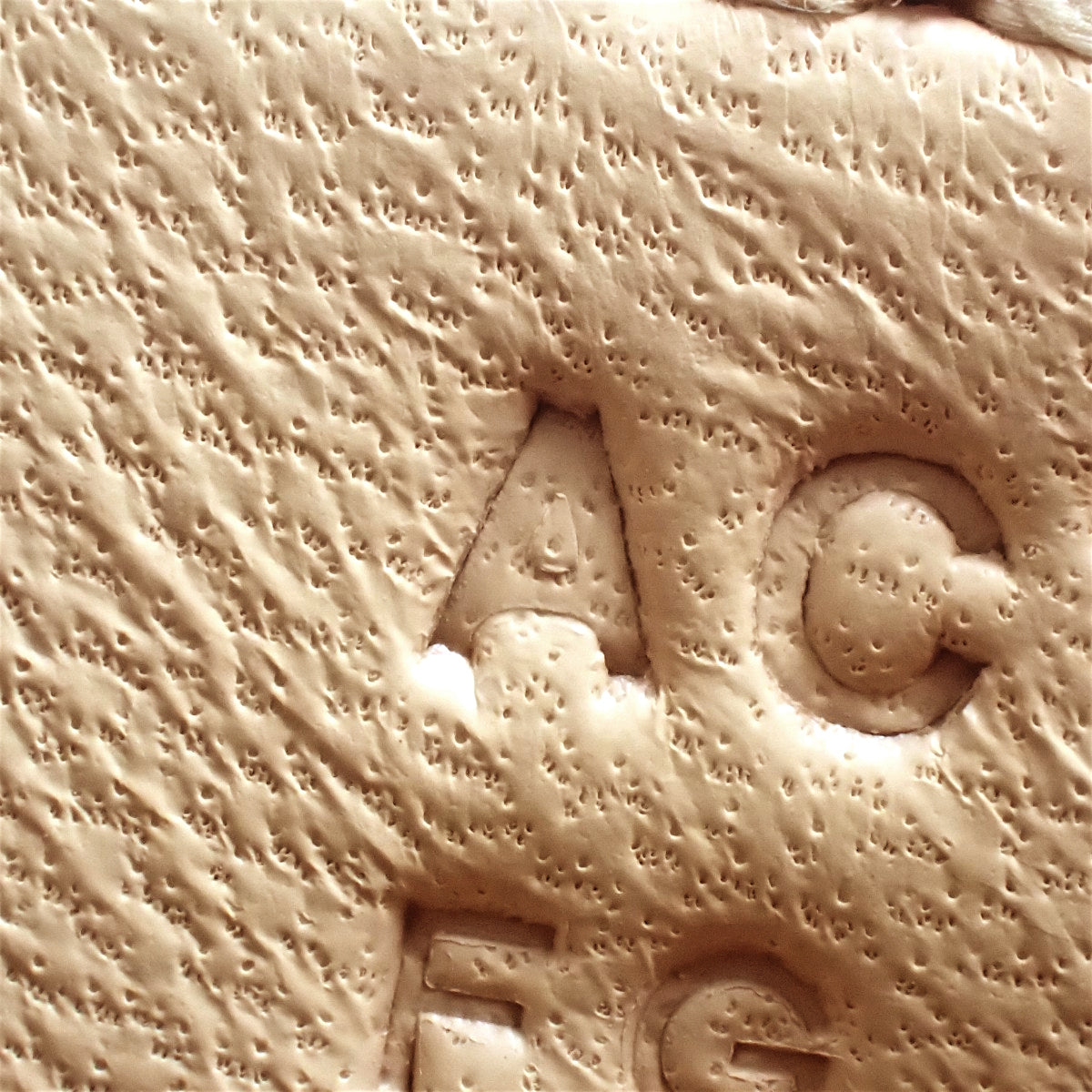 Constance III Mini Verso 小牛皮 浅绿色金属配件 A刻印
