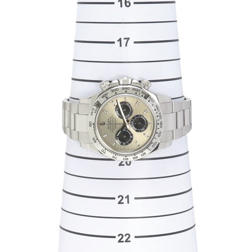 116509 Daytona WG 白金 随机编号 自动上链 钢黑色