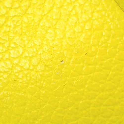 Constance Long To-Go 两用长款钱包单肩包，Evercolor 钯金金属配件，青柠色，B 字样