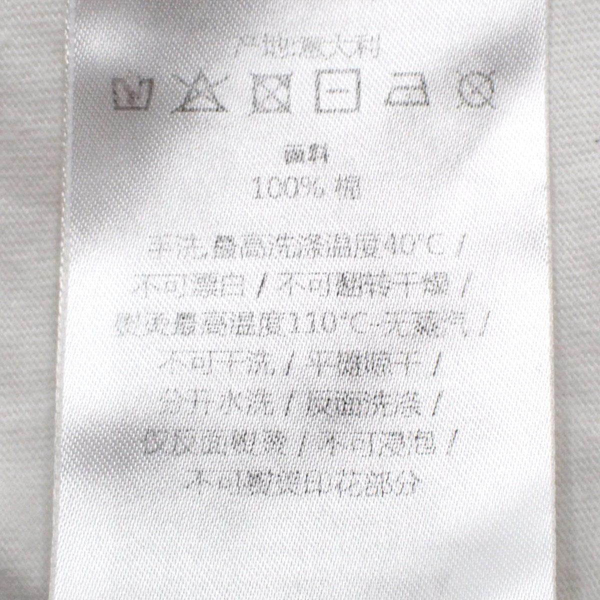 ロゴTシャツ L 半袖 パームツリー ヤシの木