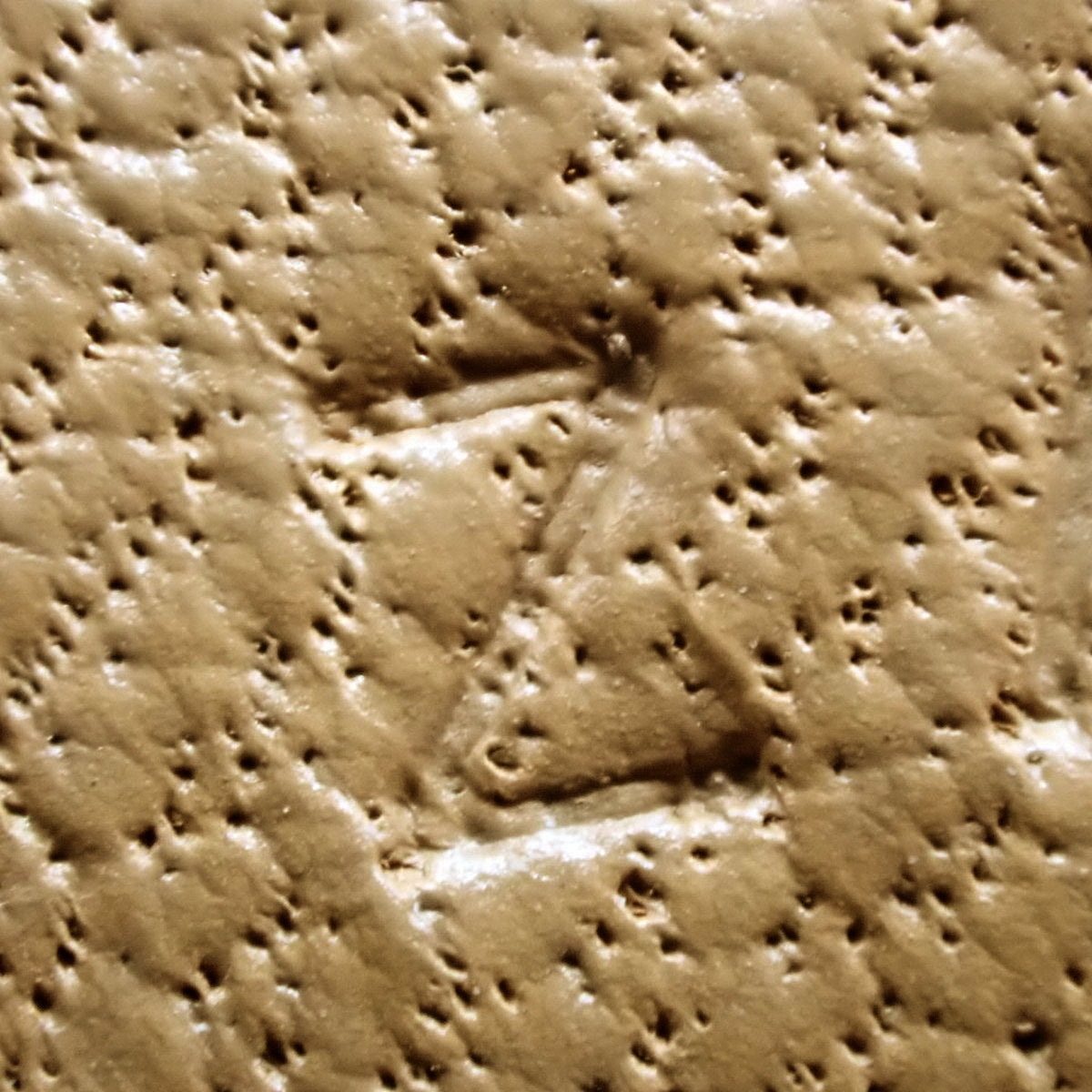 Rodeo Charm MM Anjo Miro Mauve Silvestre/Clay/Chai Z Stamp