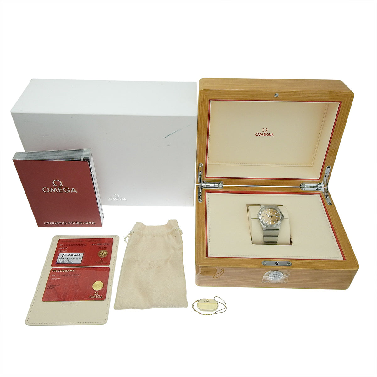 Constellation 123.10.35.20.10.001 SS Brown Automatic Men's Watch