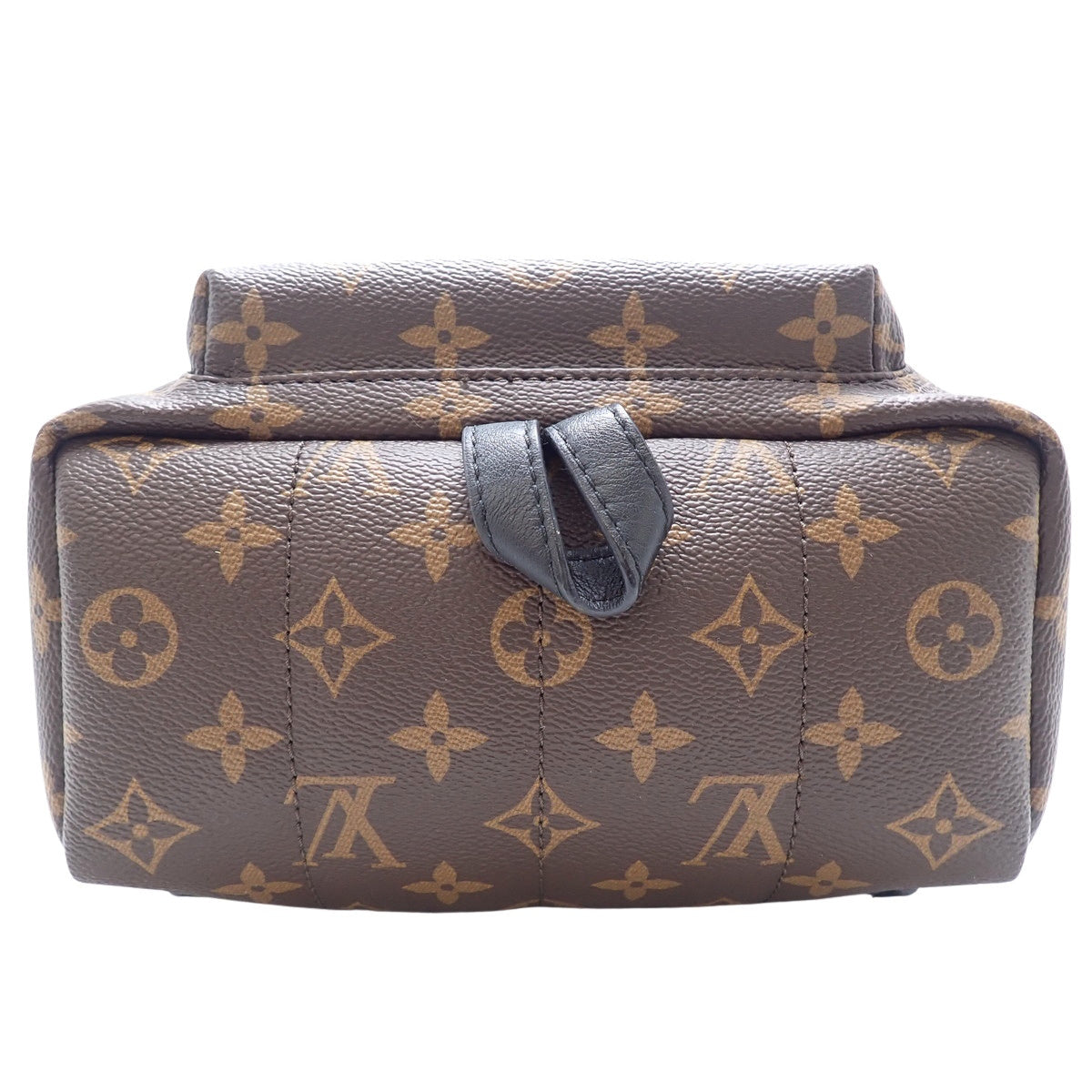 Monogram Palms Springs 双肩包 PM，Monogram帆布，棕色，M41560