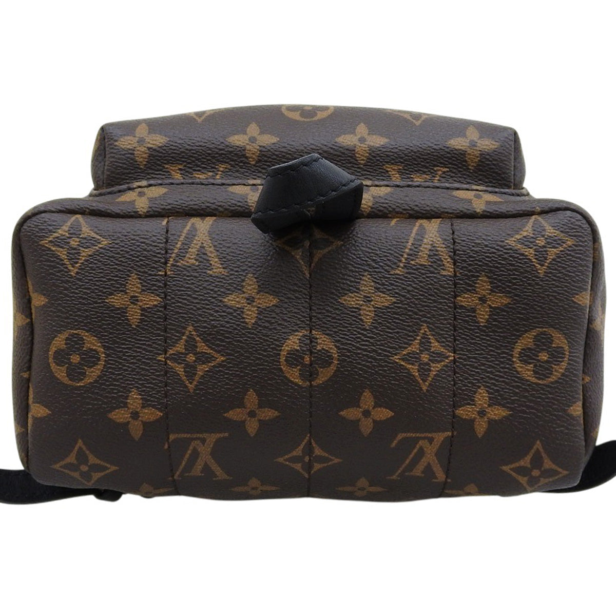 Monogram Palm Springs 背包 PM 棕色 M41560