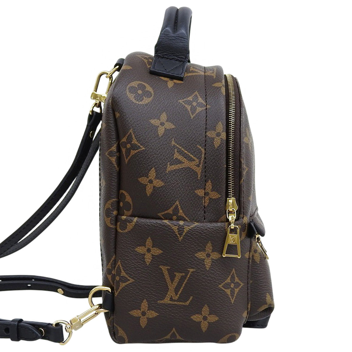 Monogram Palm Springs 迷你双肩包 M44873