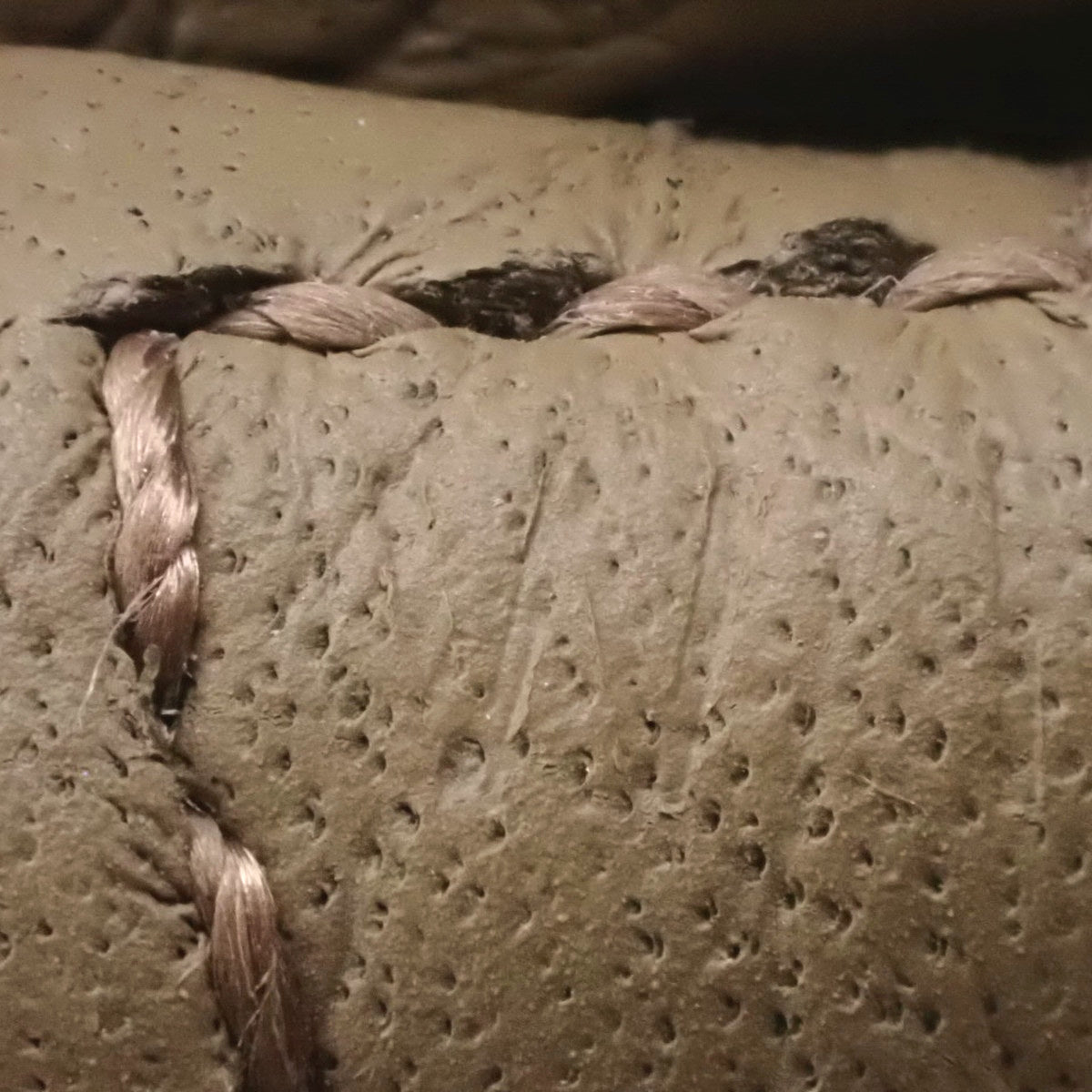 エブリン アマゾンTPM トリヨンクレマンス ベージュマルファ シルバー金具 W刻印