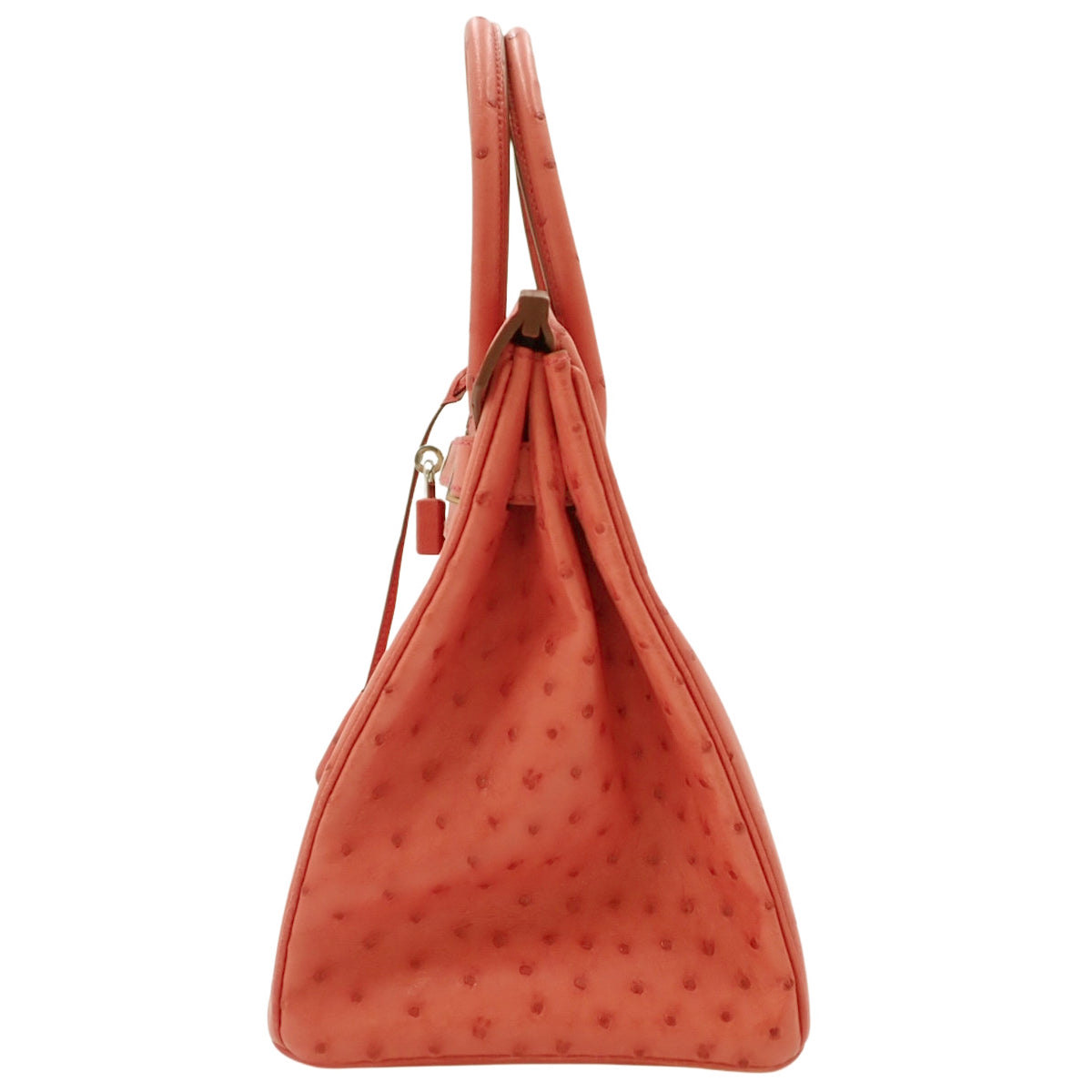 Birkin 30 鸵鸟皮包，钯金配件，饰有三角梅图案和银色配件，Q 印记