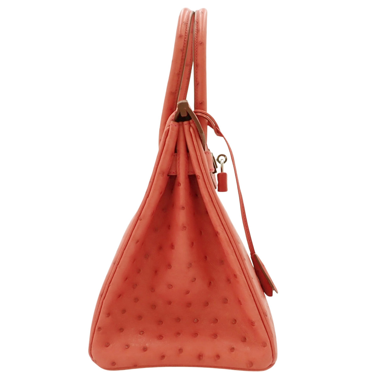 Birkin 30 鸵鸟皮包，钯金配件，饰有三角梅图案和银色配件，Q 印记