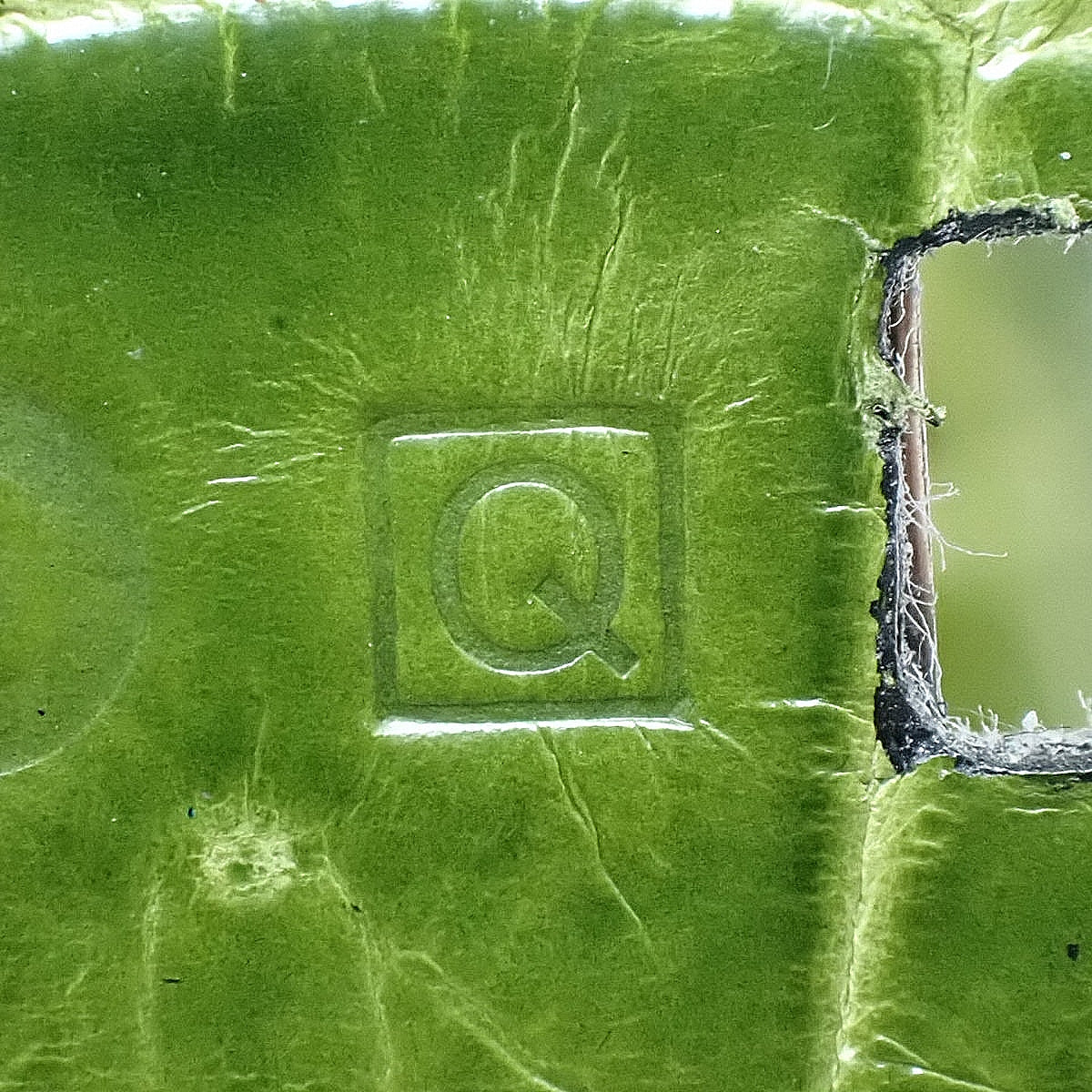 Birkin 30 Polosus鳄鱼皮，茴香绿，银色五金，Q印记