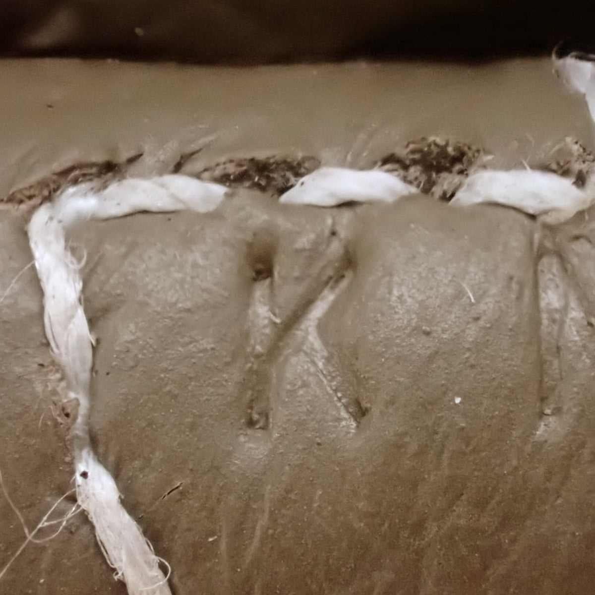 【新品】Evelyn Amazon TPM K 印花，Taurillon Clemence Etoupe/Etoupe，靛蓝，金色五金