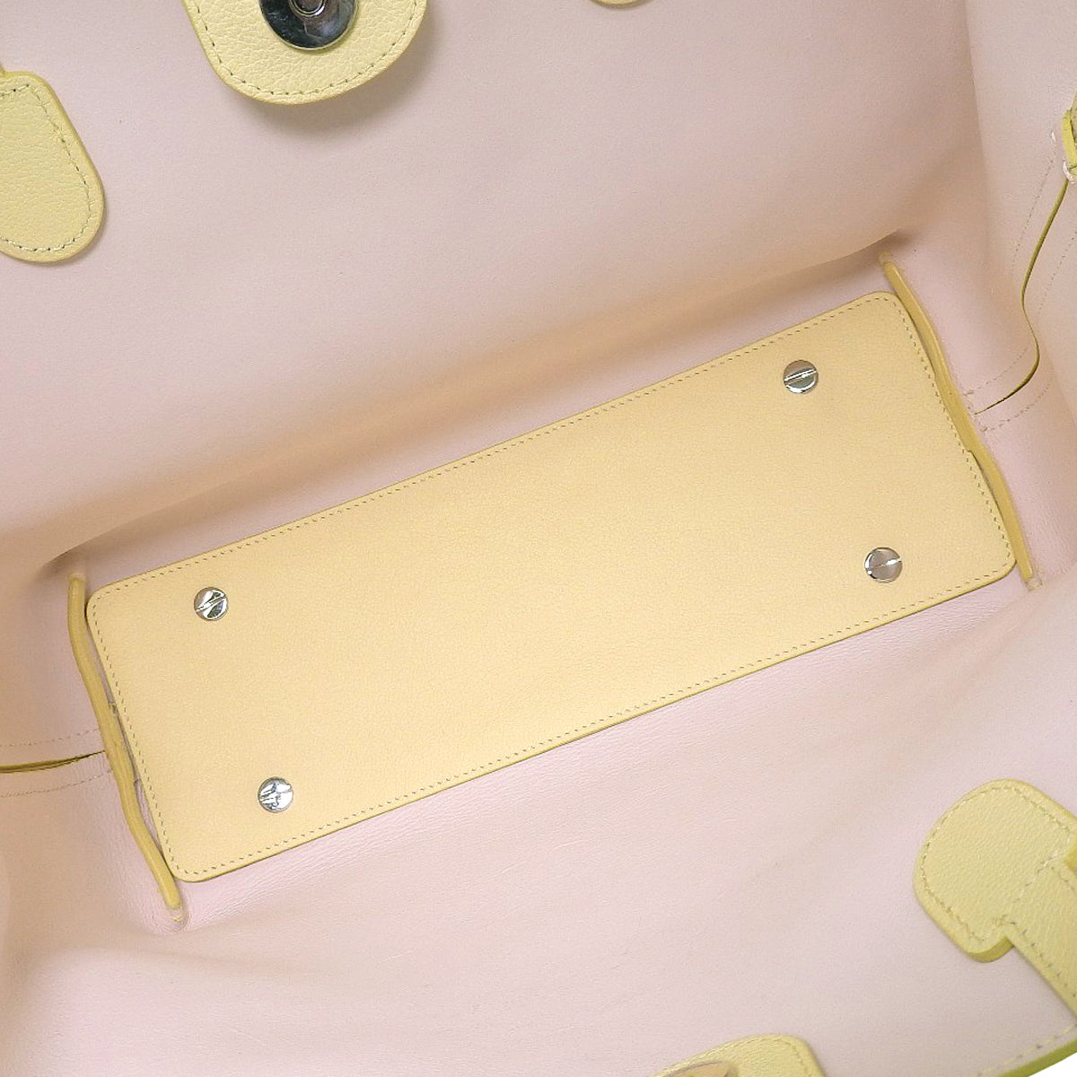 Dior Blossom 中号皮革黄色日本限定款