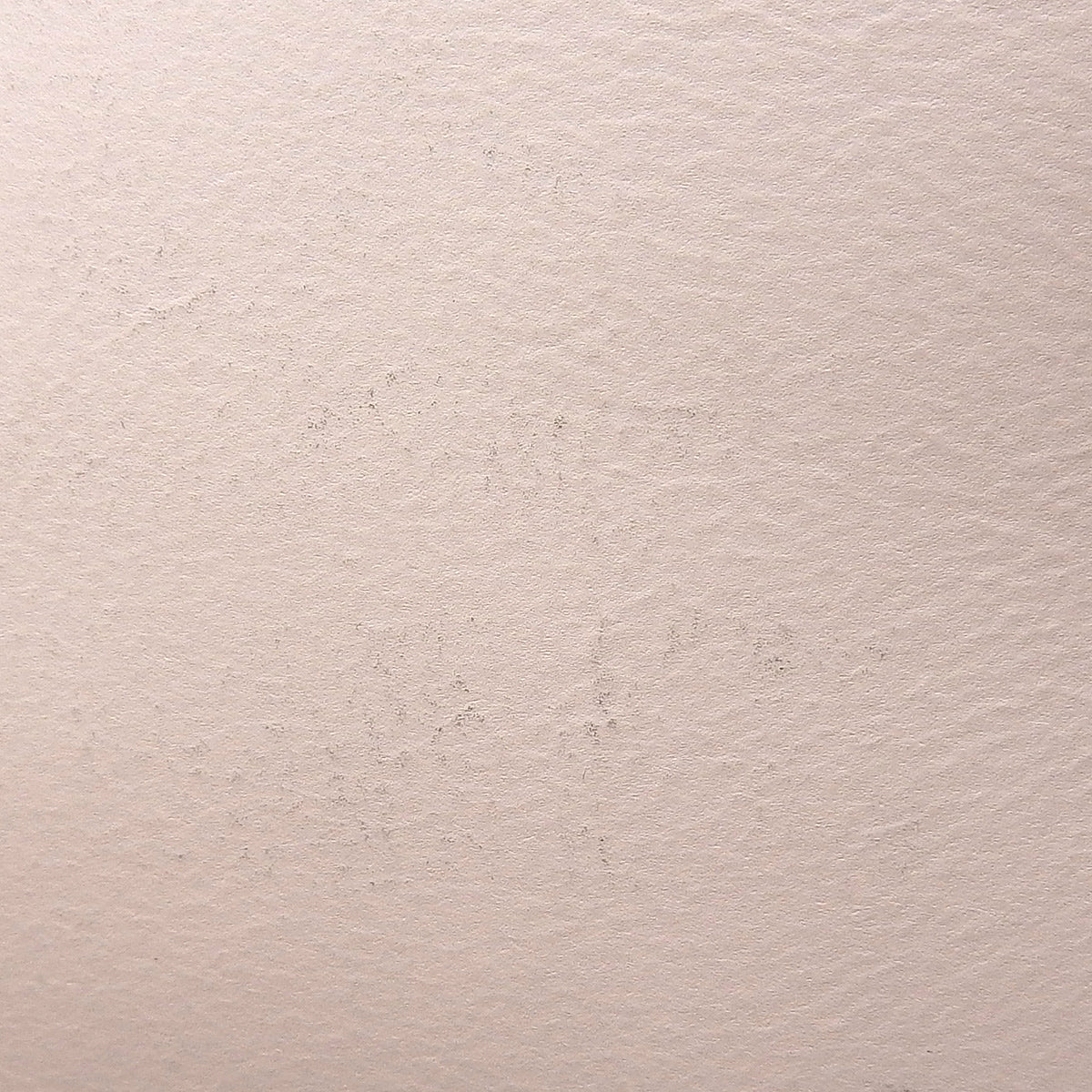 Dior Blossom 中号皮革黄色日本限定款