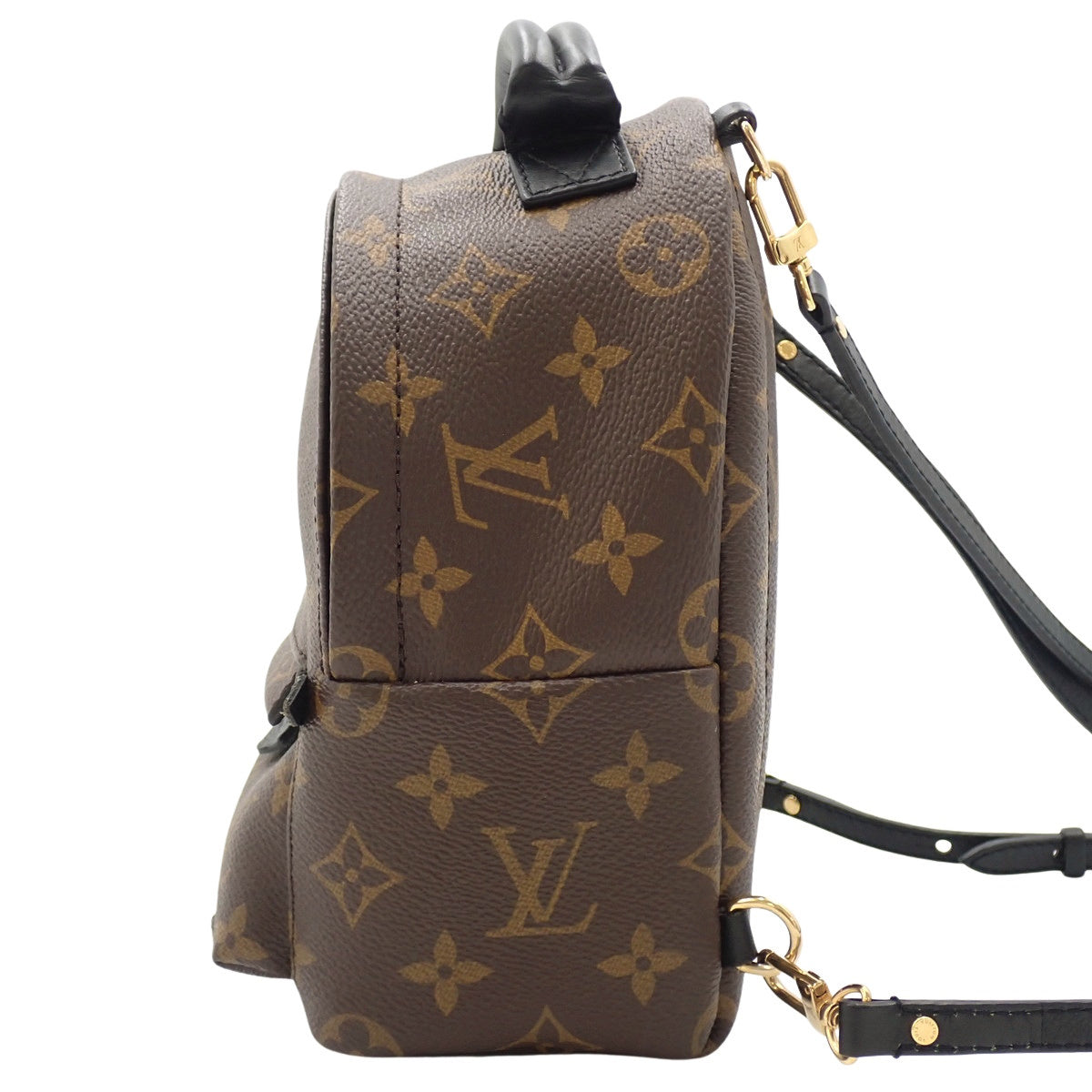 Monogram Palm Springs迷你背包，棕色，M41562