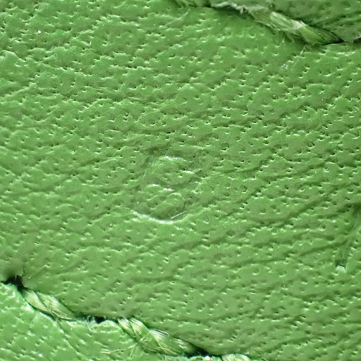 ピコタンロック カーゴPM トワルゴエラン スイフト パラジウム金具 ヴェールコミック B刻印