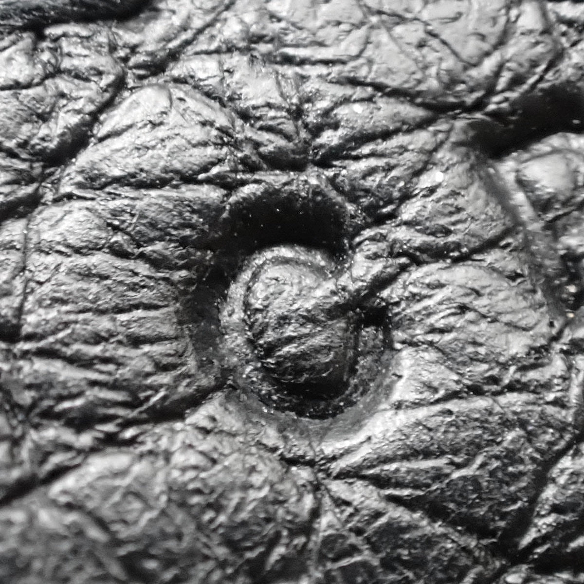 ピコタンロックMM トリヨンクレマンス ブラック シルバー金具 C刻印